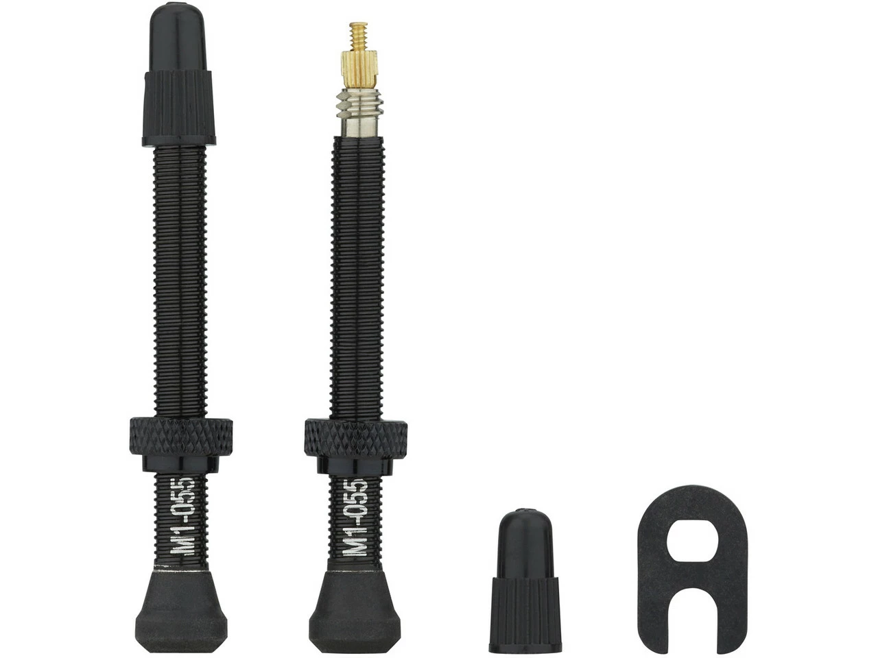 Fulcrum Road Tubelessventil-Kit Für Symmetrische Felgen 3 Fulcrum Road Tubelessventil-Kit Für Symmetrische Felgen – Bild 3