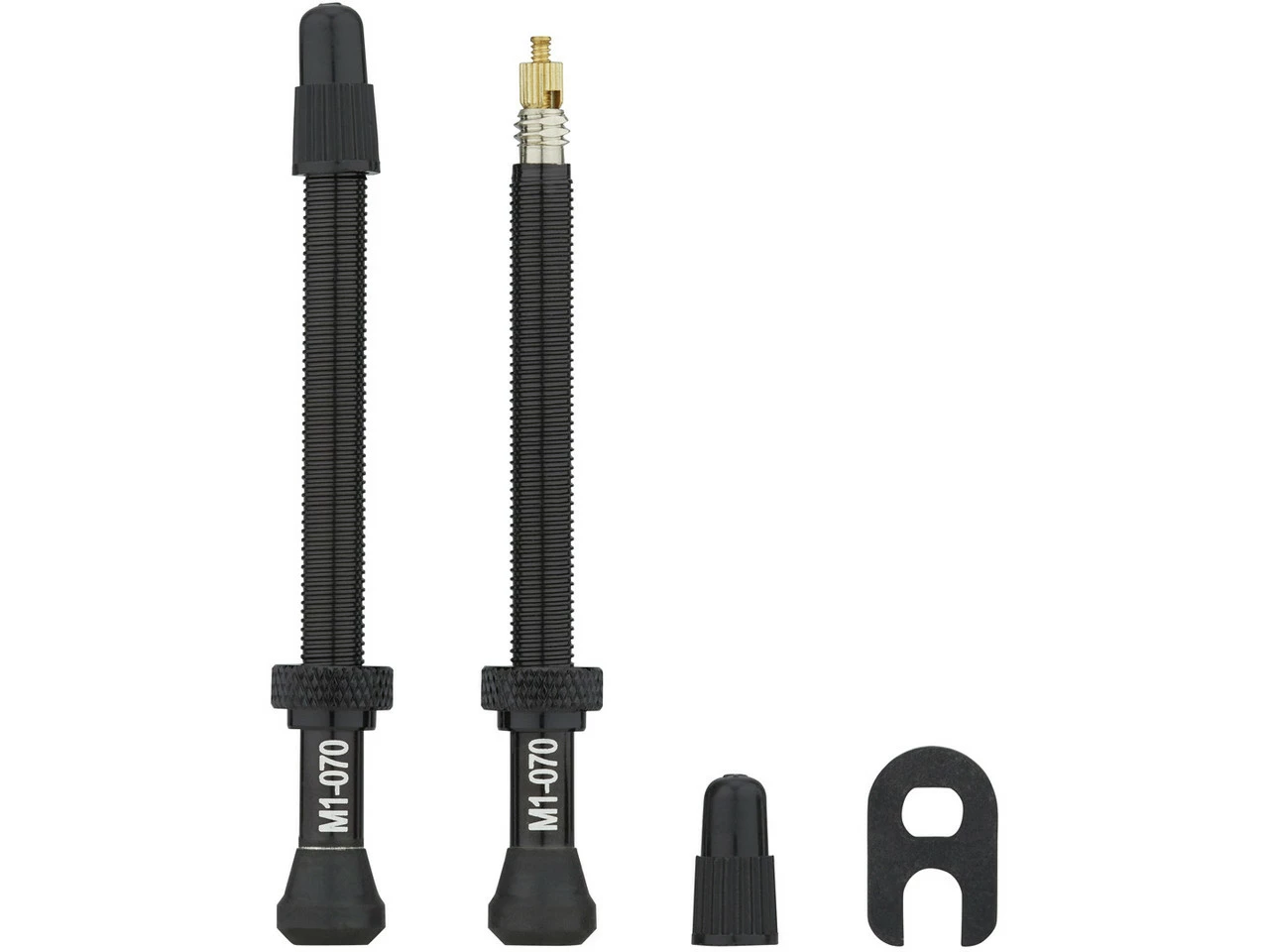 Fulcrum Road Tubelessventil-Kit Für Symmetrische Felgen 10 Fulcrum Road Tubelessventil-Kit Für Symmetrische Felgen – Bild 10