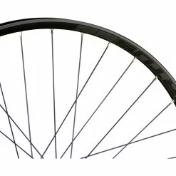 HOPE Pro 4 + Fortus 35 Disc 6-Loch 29" Boost Laufradsatz -Angebote Rad Harmonie Store 395223
