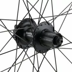 Bc Basic Mountain Alivio Disc 6-Loch DT Swiss 466d 29" Laufradsatz -Angebote Rad Harmonie Store 399635